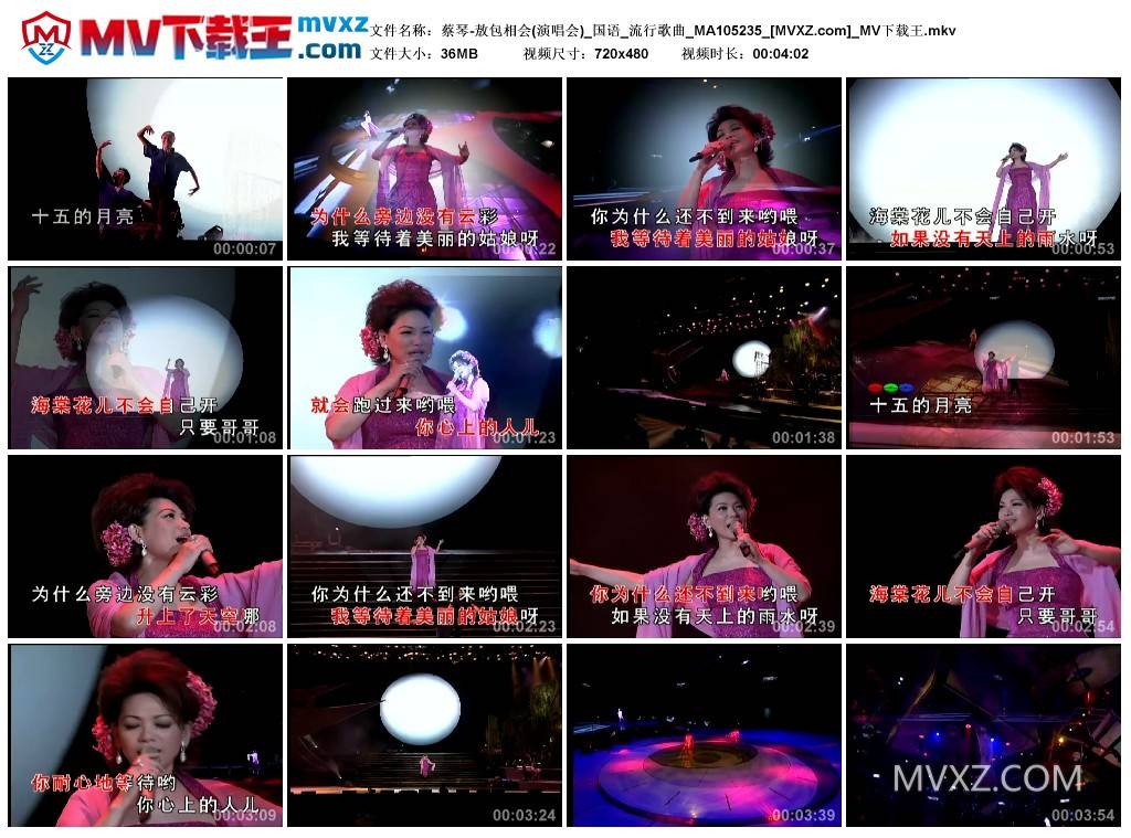 蔡琴-敖包相会(演唱会)_国语_流行歌曲_MA105235